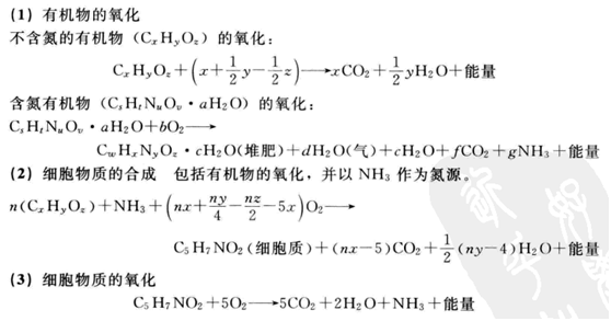 有機(jī)物的氧化與合成基本過程